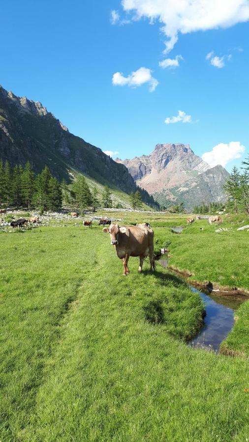 La Piana Appartamenti ألب ديفيرو المظهر الخارجي الصورة